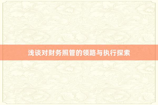 浅谈对财务照管的领路与执行探索